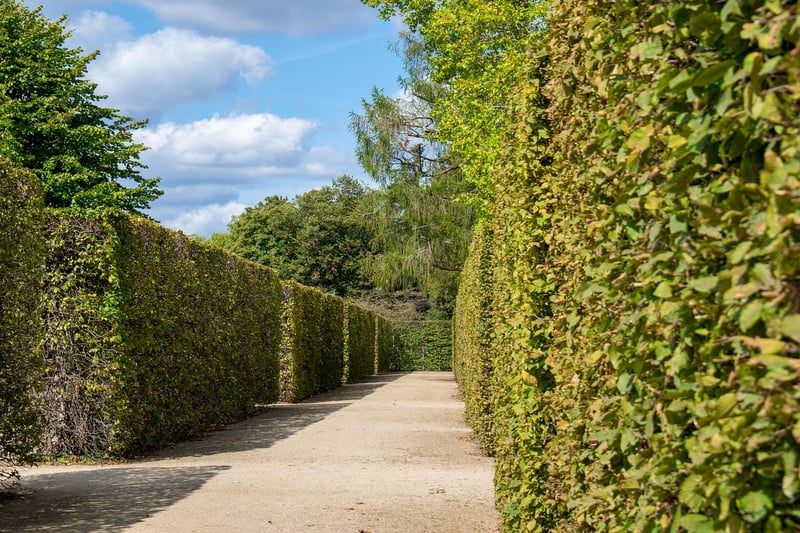 Maze Entrance